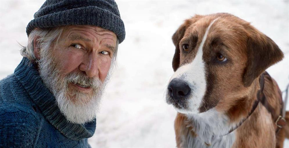 The Call of the Wild